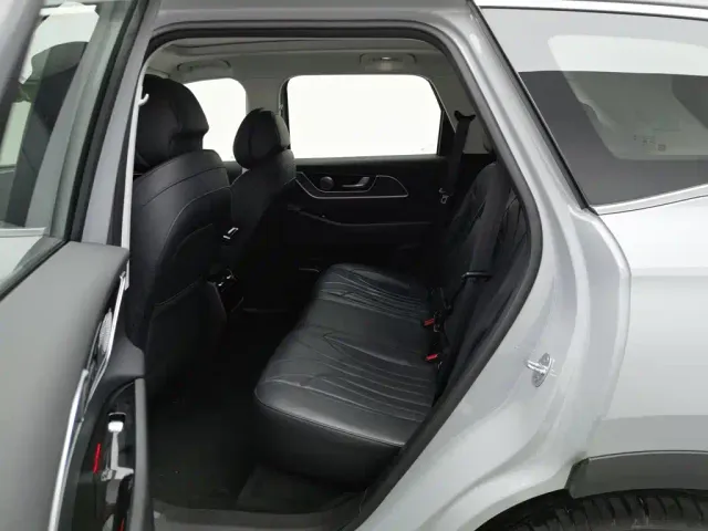 Chery Fulwin T9 — Фото автомобиля 15