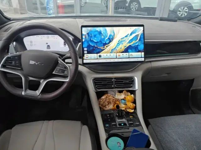 BYD Song PLUS — Фото автомобиля 12