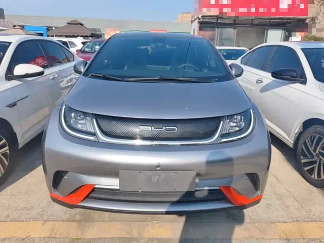 BYD Dolphin — Фото автомобиля 2