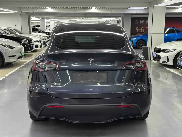 Tesla Model Y — Фото автомобиля 10