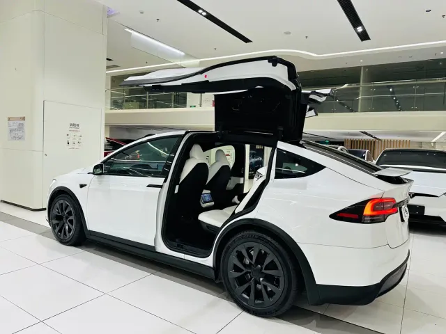 Tesla Model X — Фото автомобиля 20