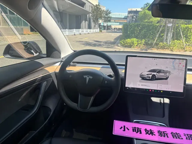 Tesla Model 3 — Фото автомобиля 11