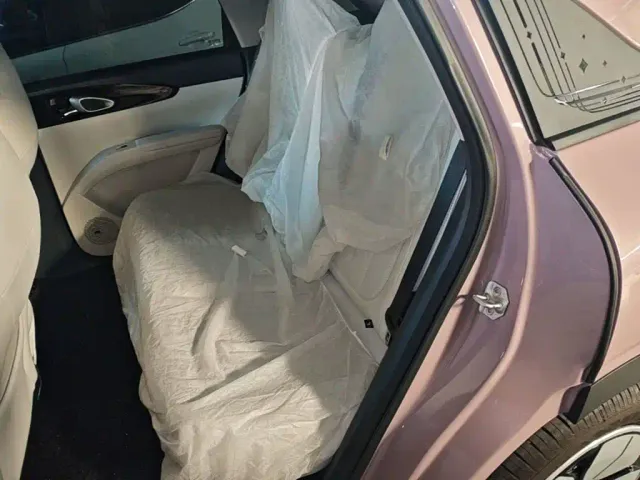 Geely Starry Wish — Фото автомобиля 16