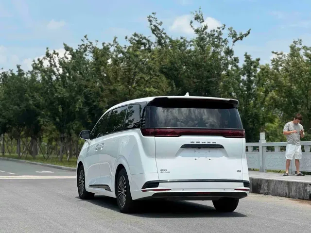 Denza D9 — Фото автомобиля 7