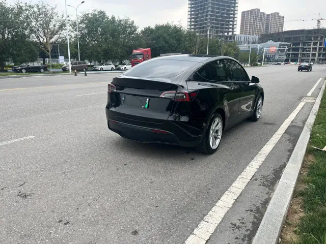 Tesla Model Y — Фото автомобиля 19
