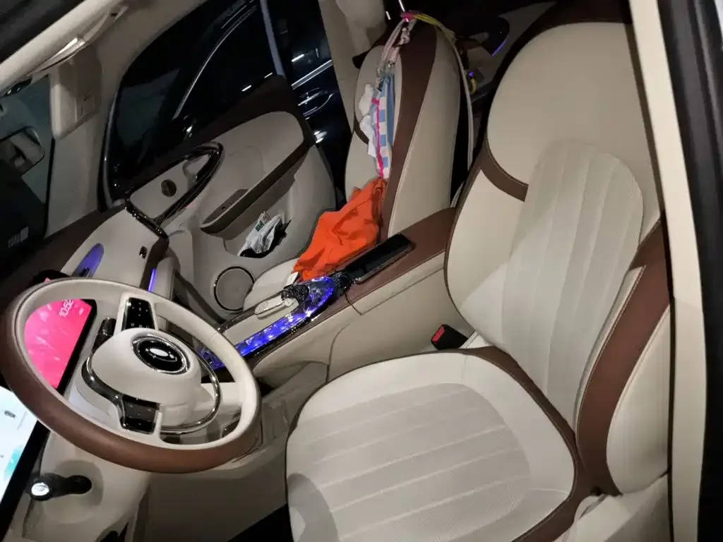 Ora Ora Ballet Cat 2022 401km Nutcracker Edition — Фото автомобиля 16