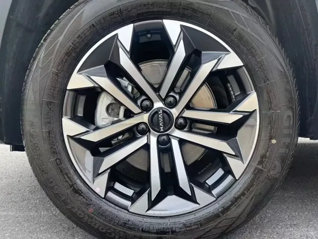 Haval Big Dog — Фото автомобиля 16