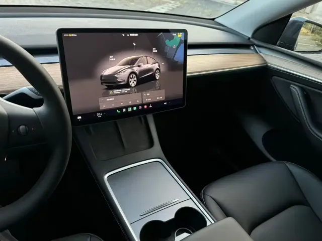 Tesla Model Y — Фото автомобиля 8