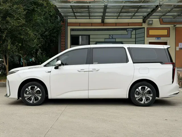 Maxus Dajia 9 — Фото автомобиля 4