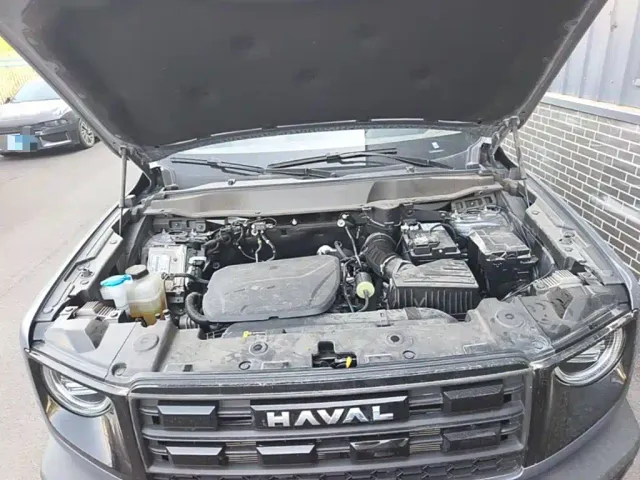 Haval Big Dog — Фото автомобиля 19