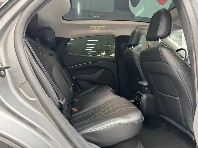 Ford Mustang Mach-E — Фото автомобиля 19