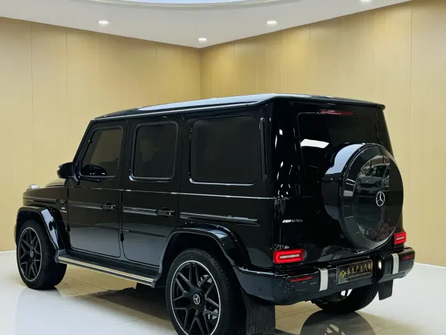 Mercedes-Benz G-Class — Фото автомобиля 15