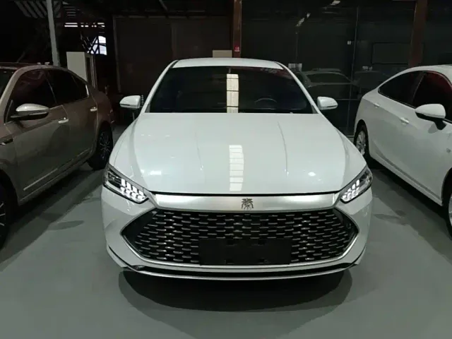 BYD Qin PLUS — Фото автомобиля 2
