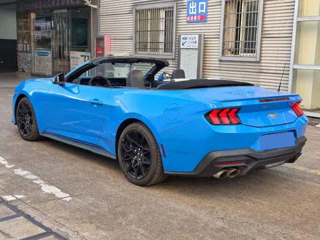 Ford Mustang — Фото автомобиля 11