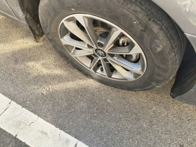 BYD Qin PLUS — Фото автомобиля 25