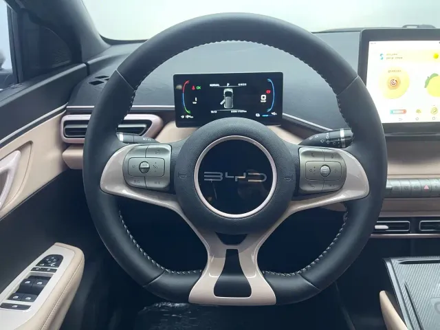 BYD Seagull — Фото автомобиля 16