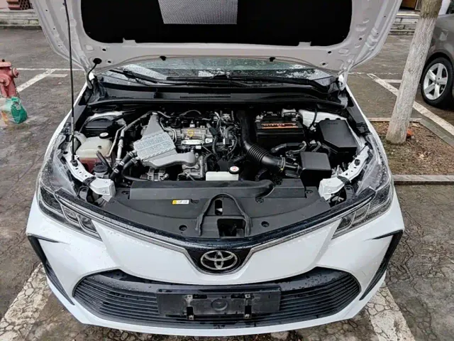 Toyota Corolla — Фото автомобиля 19