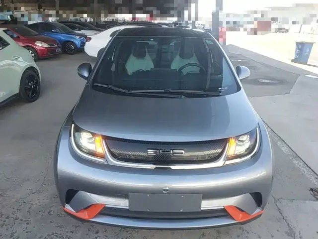 BYD Dolphin — Фото автомобиля 2