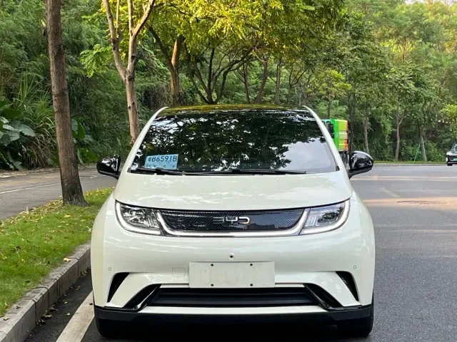 BYD Dolphin — Фото автомобиля 2
