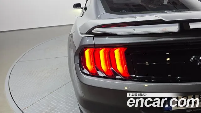 Ford Mustang — Фото автомобиля 23