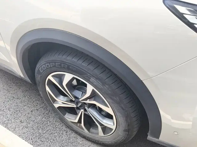 Haval Xiaolong MAX — Фото автомобиля 11