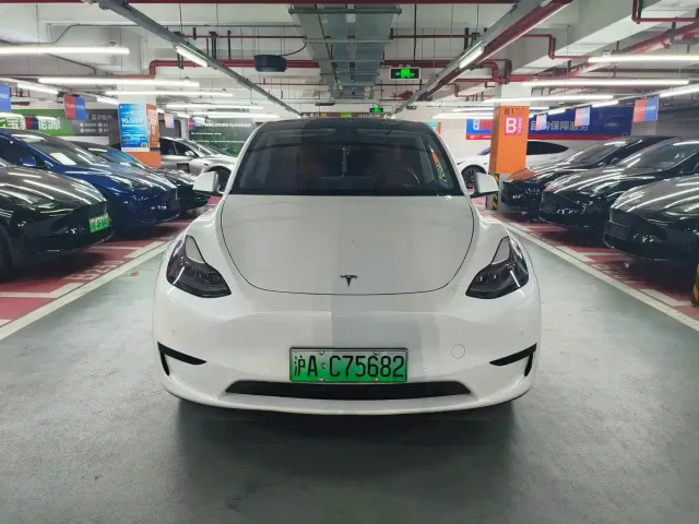 Tesla Model Y — Фото автомобиля 2
