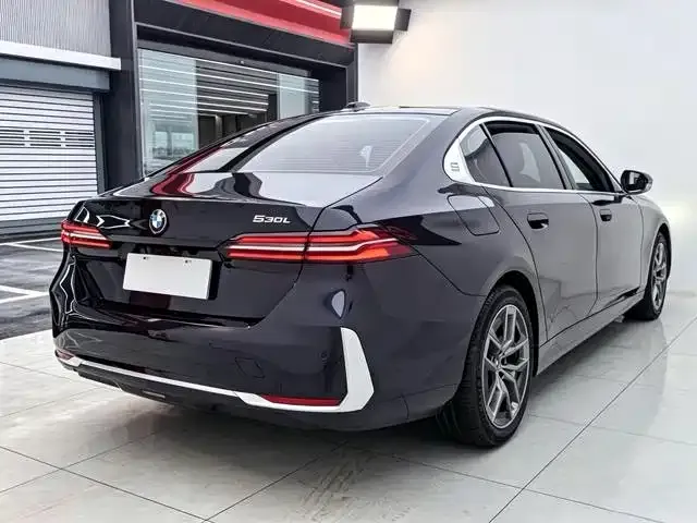 BMW 5 Series — Фото автомобиля 5