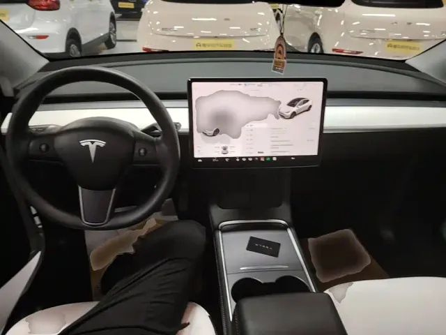 Tesla Model Y — Фото автомобиля 9