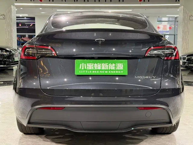 Tesla Model Y — Фото автомобиля 14