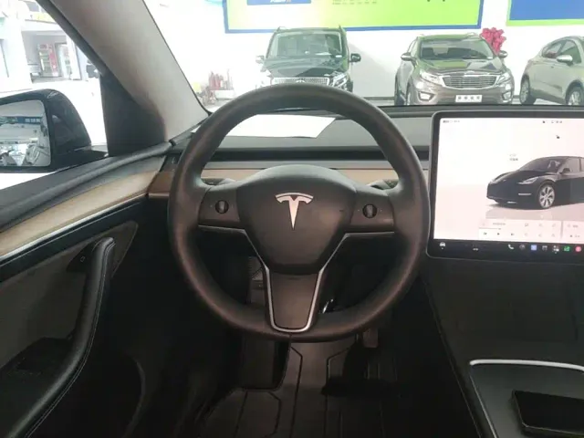 Tesla Model Y — Фото автомобиля 6