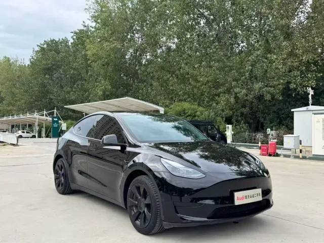 Tesla Model Y — Фото автомобиля 3