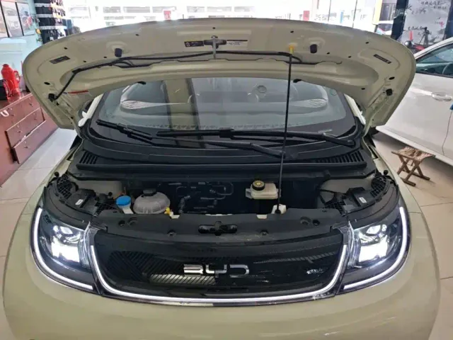 BYD Dolphin — Фото автомобиля 19