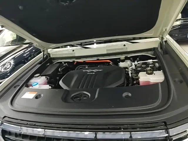 BYD FangChengBao Leopard 5 — Фото автомобиля 19