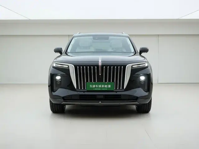 Hongqi E-HS9 — Фото автомобиля 2