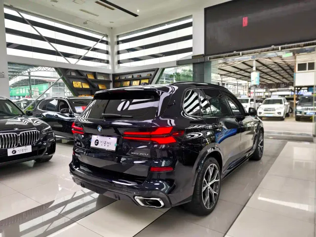 BMW X5 — Фото автомобиля 15