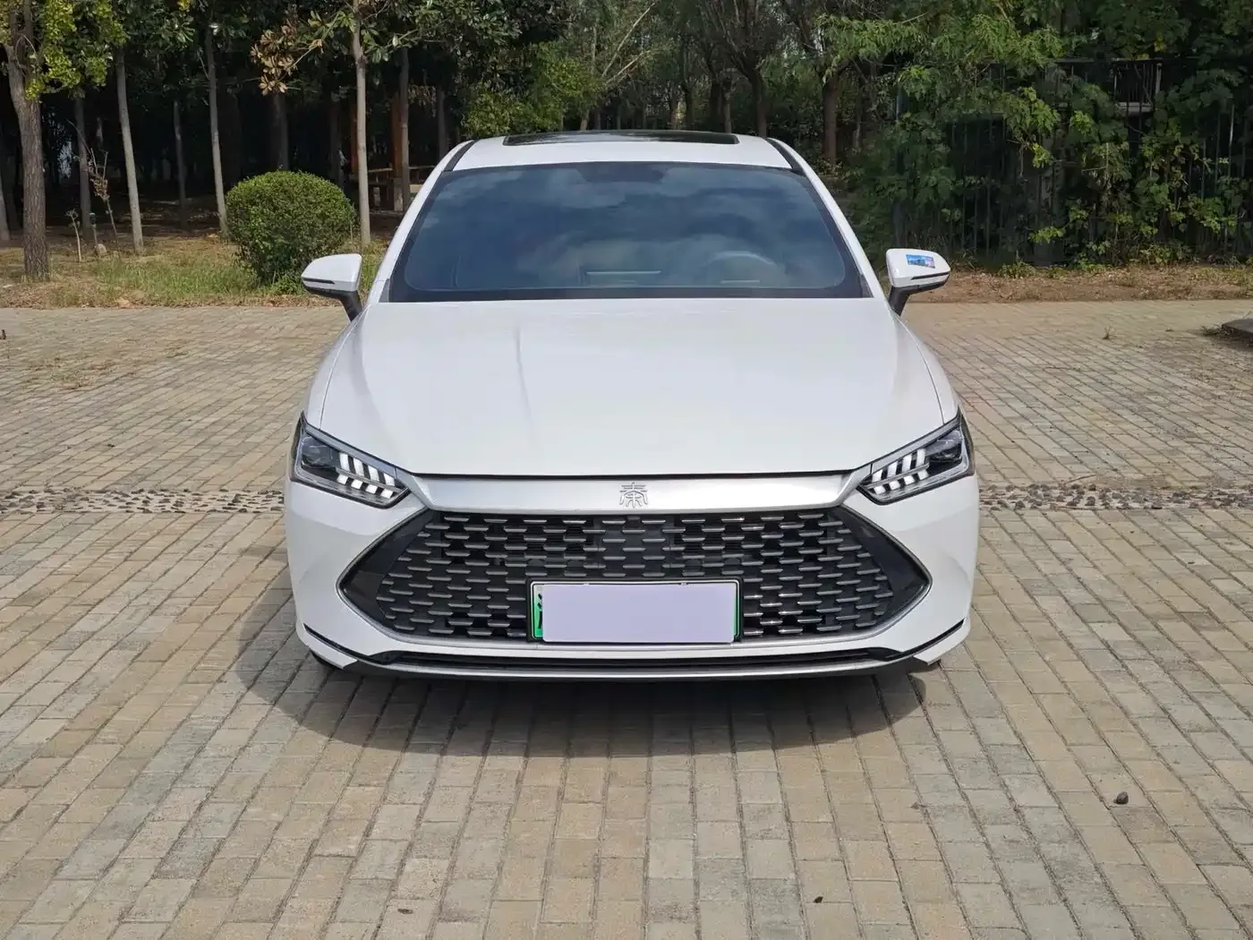 BYD Qin PLUS 2021 DM-i 55KM Flagship — Фото автомобиля 3