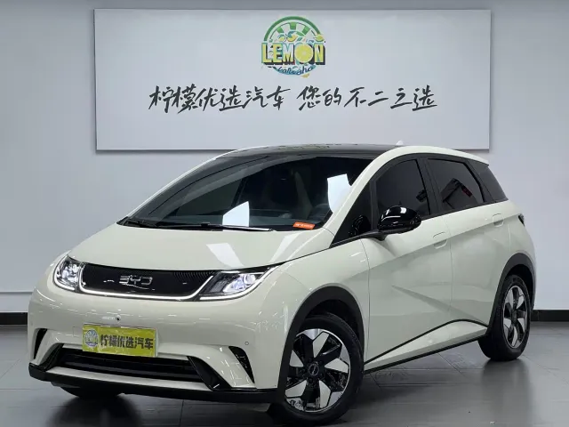 BYD Dolphin — Фото автомобиля 2