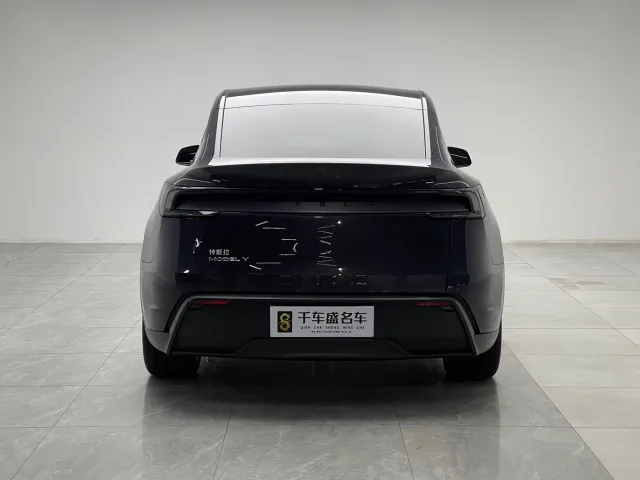 Tesla Model Y — Фото автомобиля 5