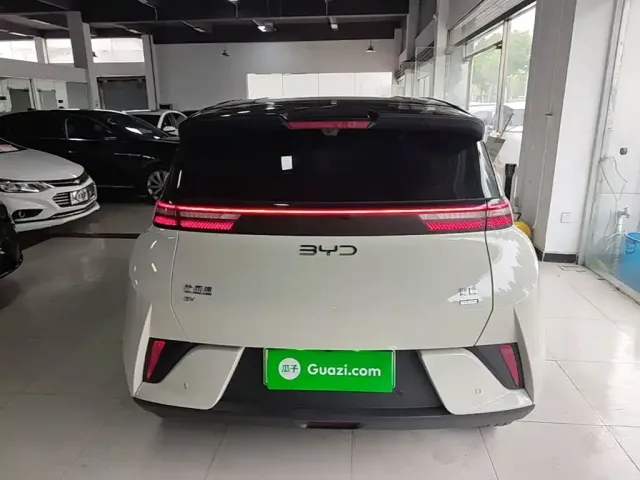 BYD Seagull 2025 Smart Drive Edition 305km Freedom Version — Фото автомобиля 5