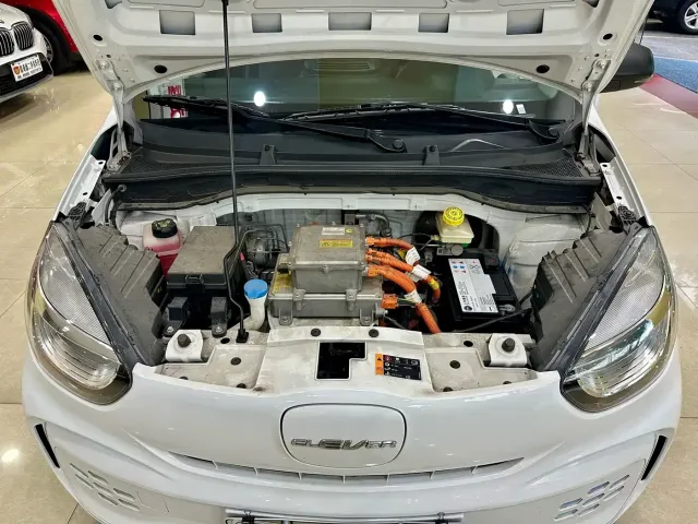 Roewe Kaiwei CLEVER 2022 311km Vitality Bobo Edition — Фото автомобиля 21