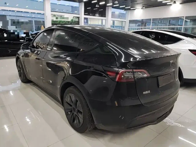 Tesla Model Y — Фото автомобиля 4