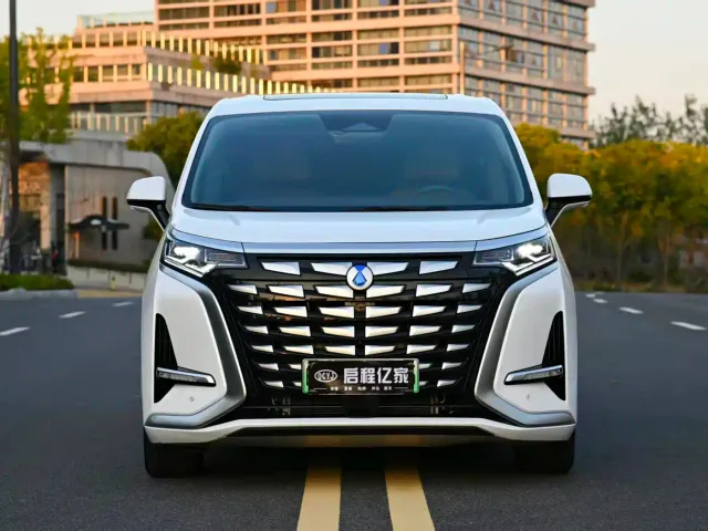 Denza D9 — Фото автомобиля 2