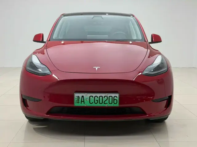 Tesla Model Y — Фото автомобиля 2