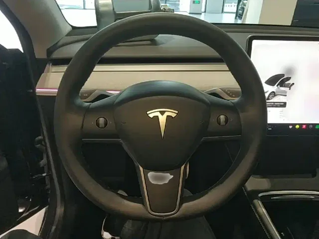 Tesla Model Y — Фото автомобиля 10