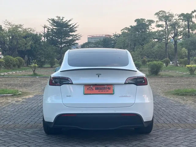 Tesla Model Y — Фото автомобиля 17