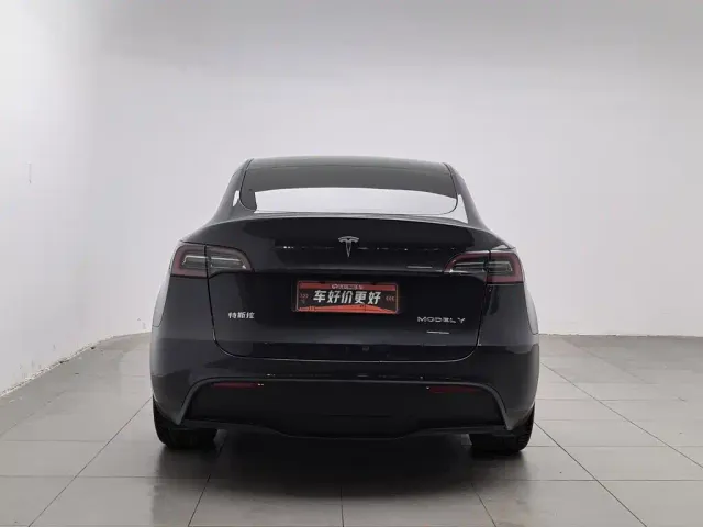 Tesla Model Y — Фото автомобиля 4