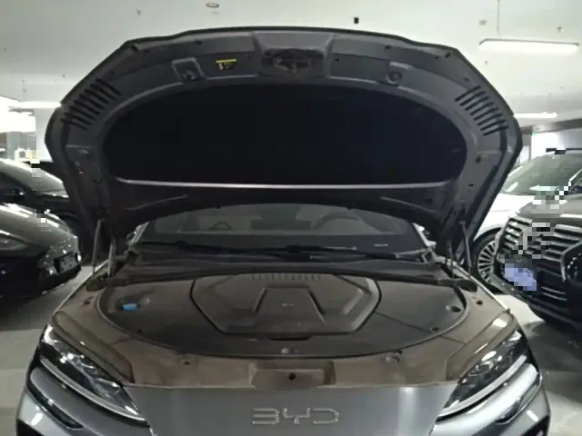 BYD Song PLUS — Фото автомобиля 19