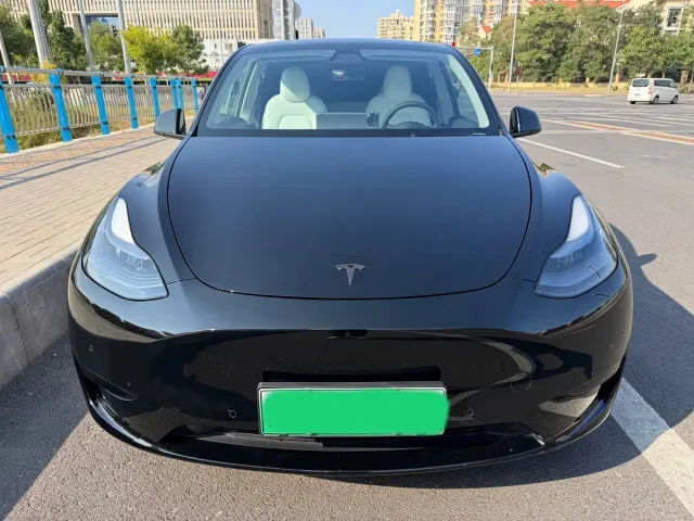 Tesla Model Y — Фото автомобиля 2