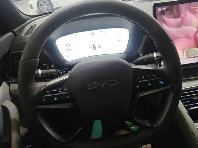 BYD Song PLUS — Фото автомобиля 10
