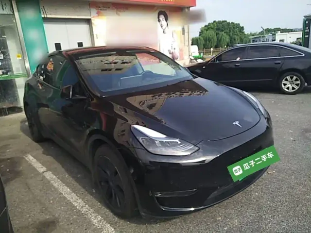 Tesla Model Y — Фото автомобиля 3